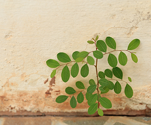 Resilience2