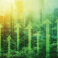 B206 Data cornerstone