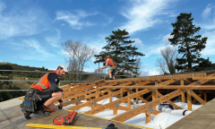 B206 warm roofs