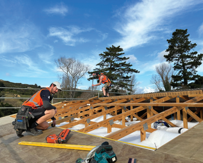 B206 warm roofs