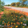 Sustainability nature positive 1